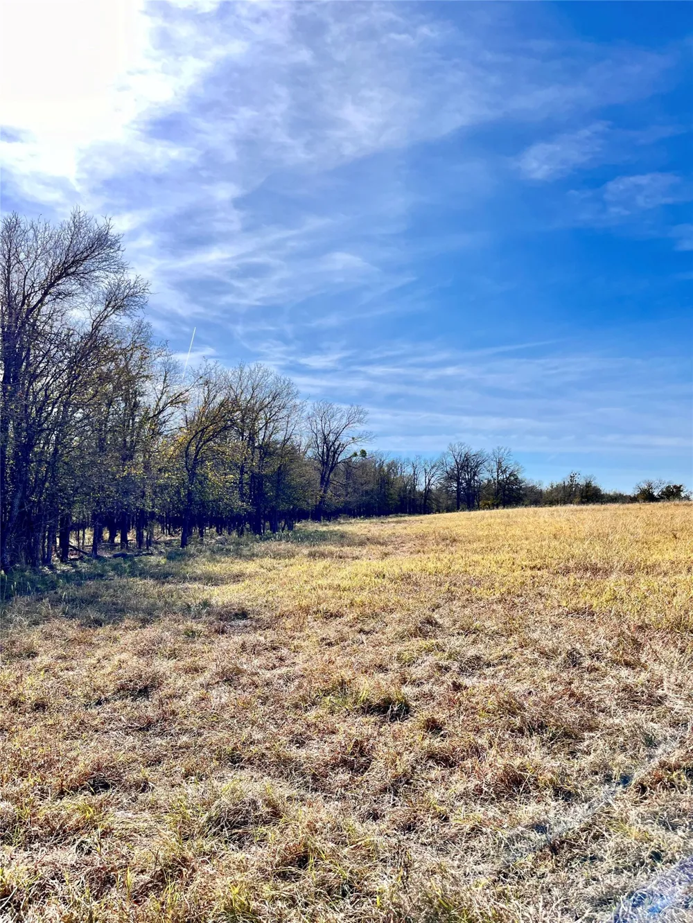 674 County Road 309 Rockdale, TX 76567