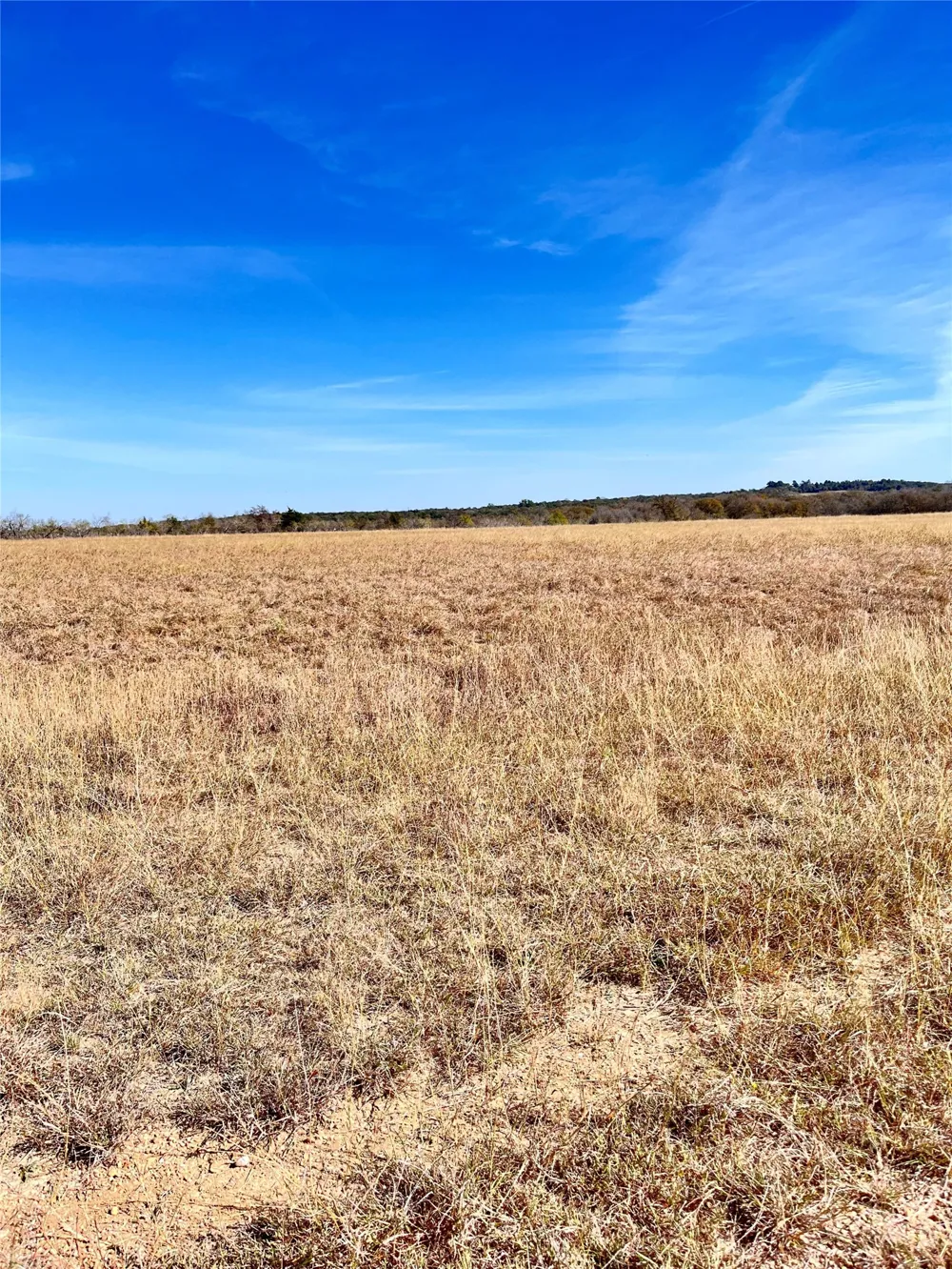 674 County Road 309 Rockdale, TX 76567