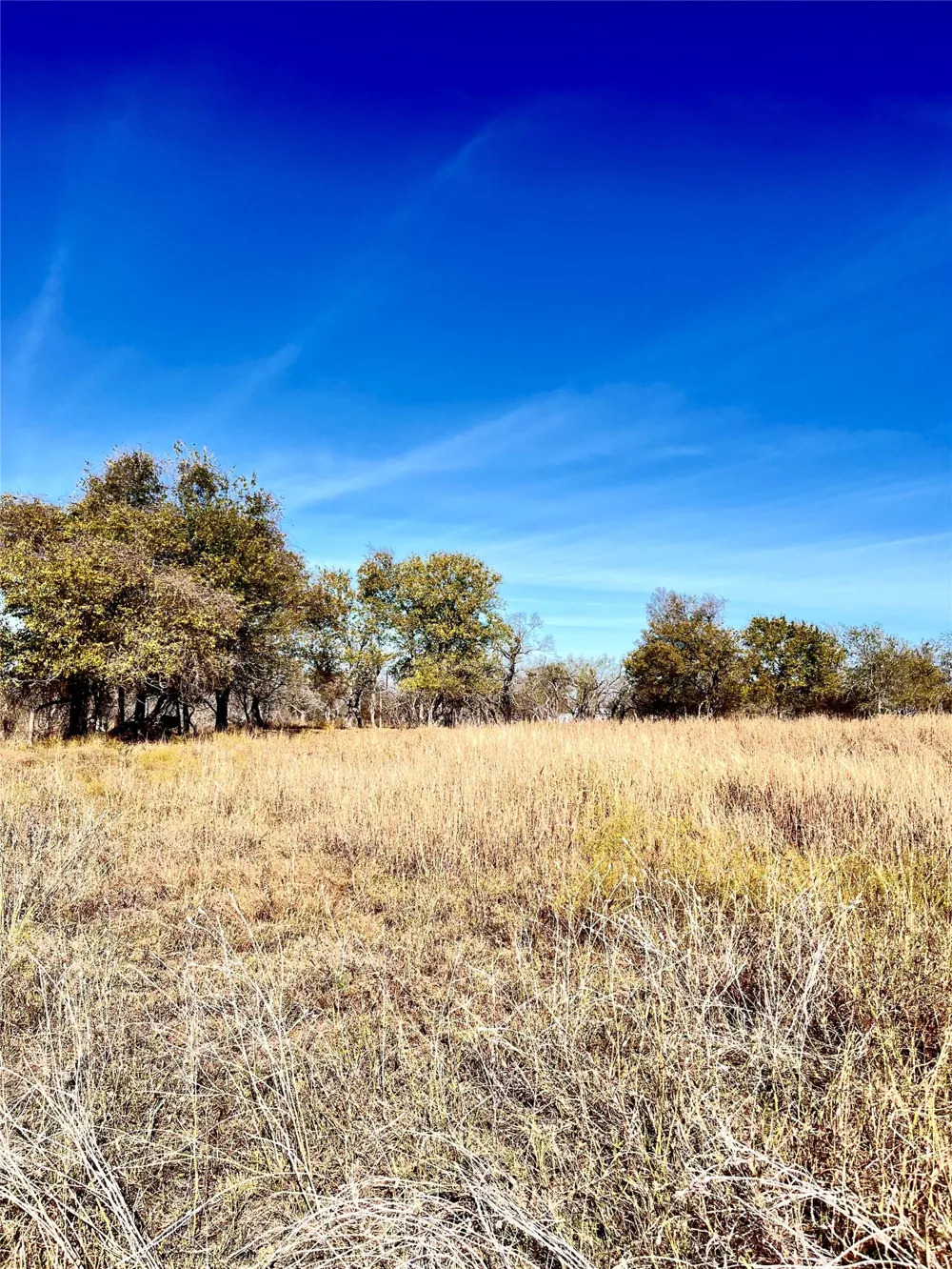 674 County Road 309 Rockdale, TX 76567