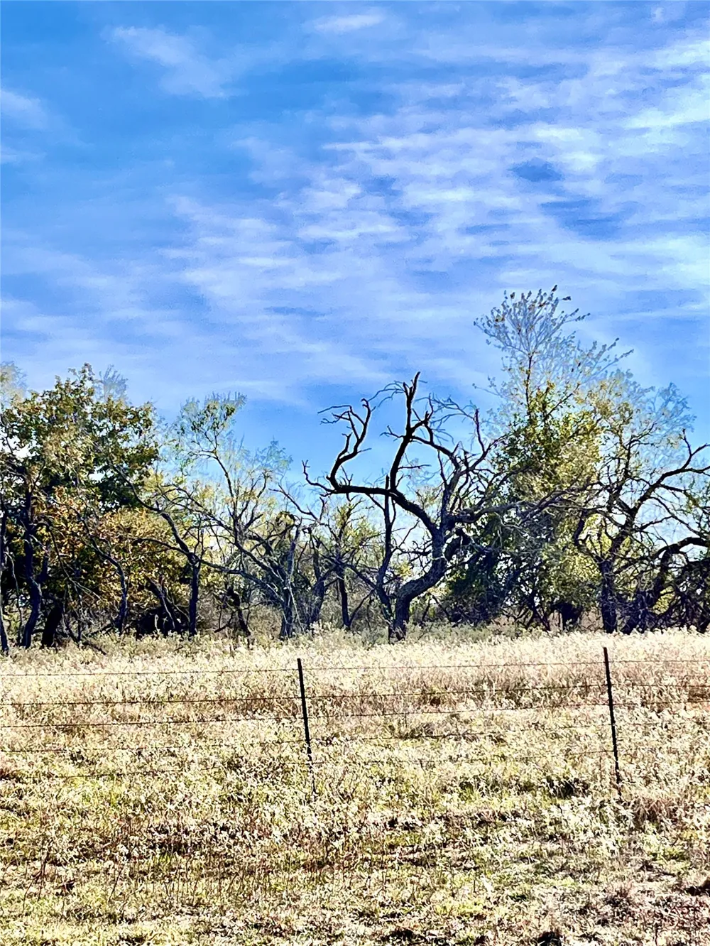 674 County Road 309 Rockdale, TX 76567