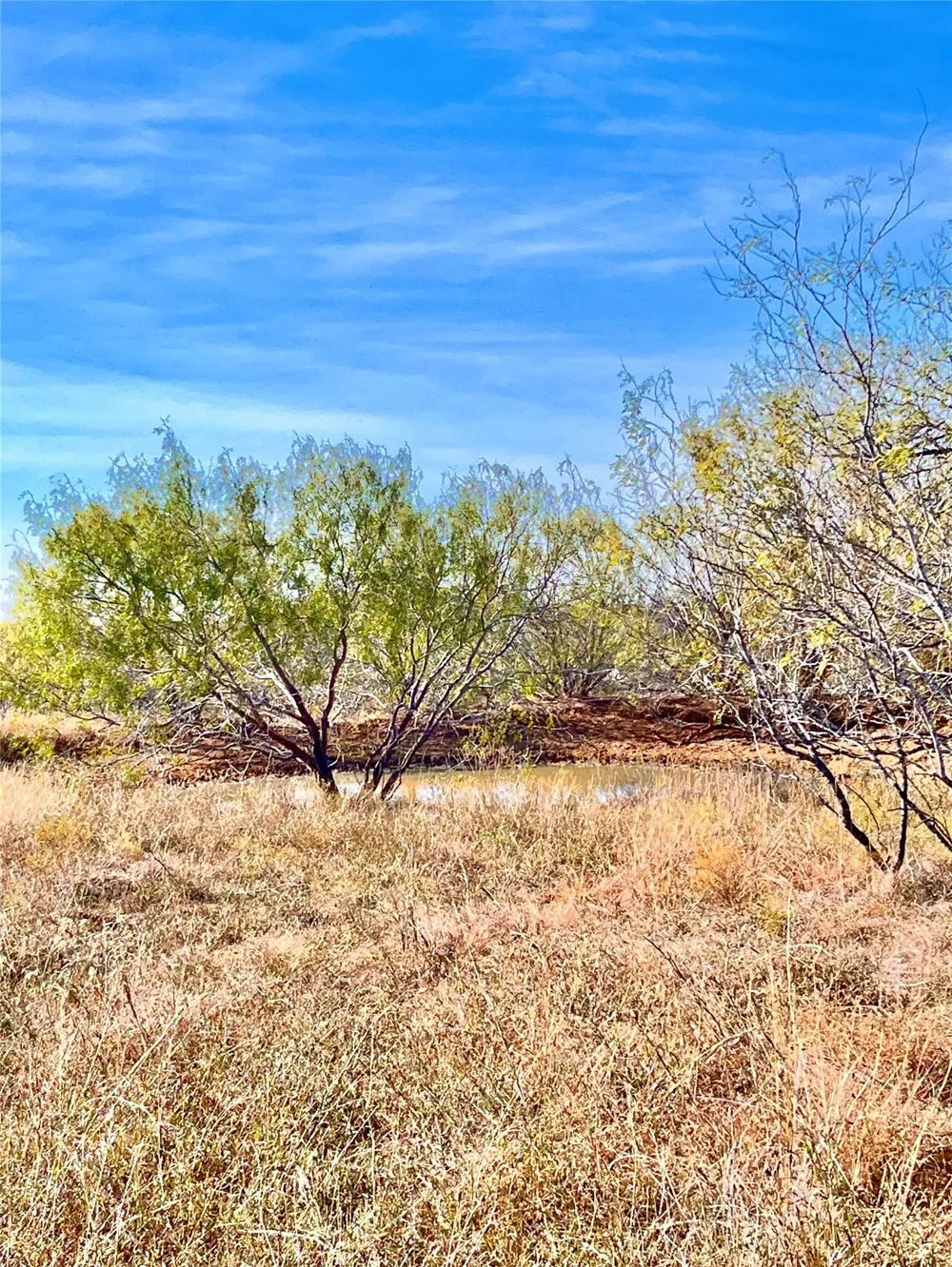 674 County Road 309 Rockdale, TX 76567