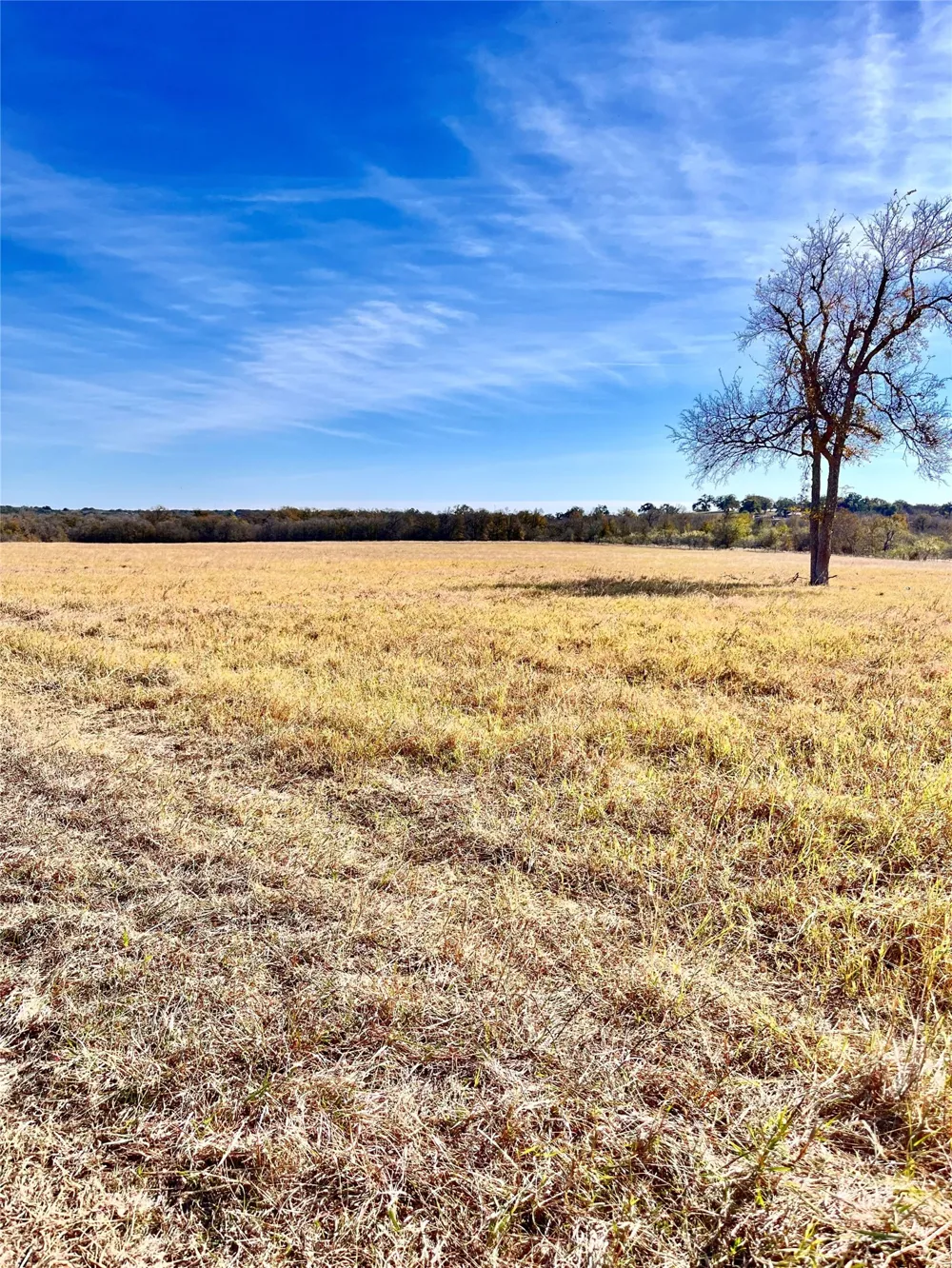 674 County Road 309 Rockdale, TX 76567