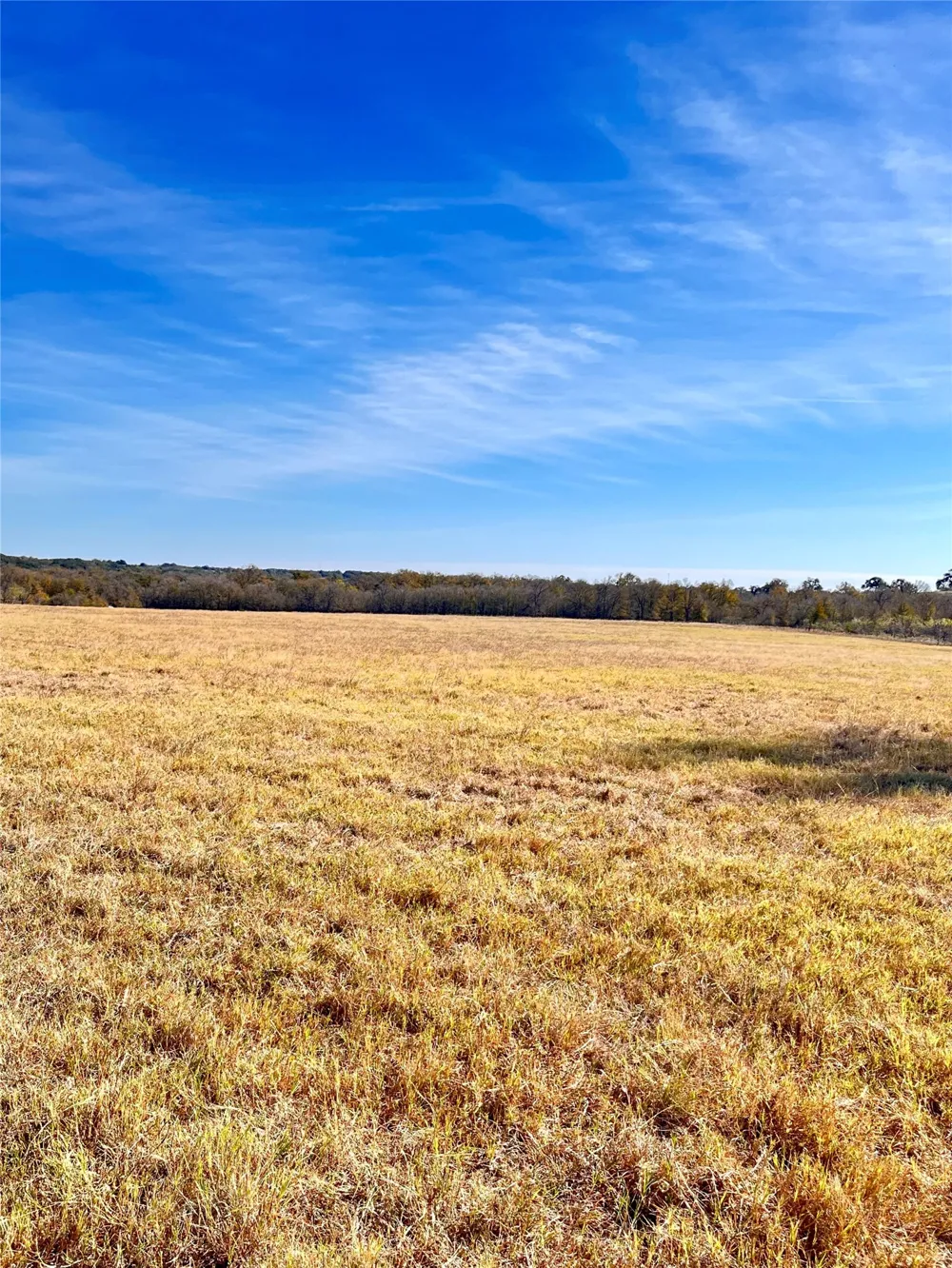 674 County Road 309 Rockdale, TX 76567
