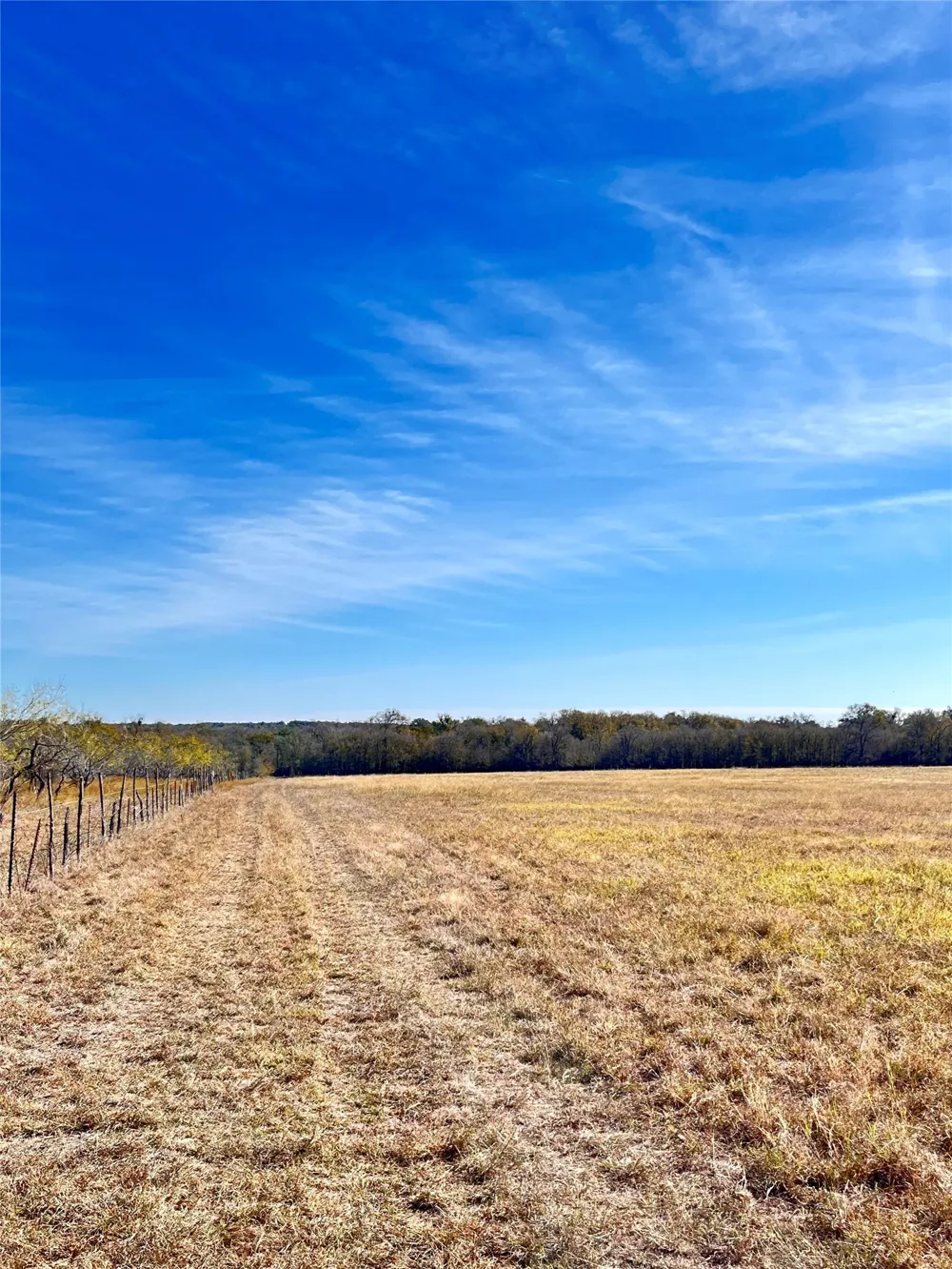 674 County Road 309 Rockdale, TX 76567