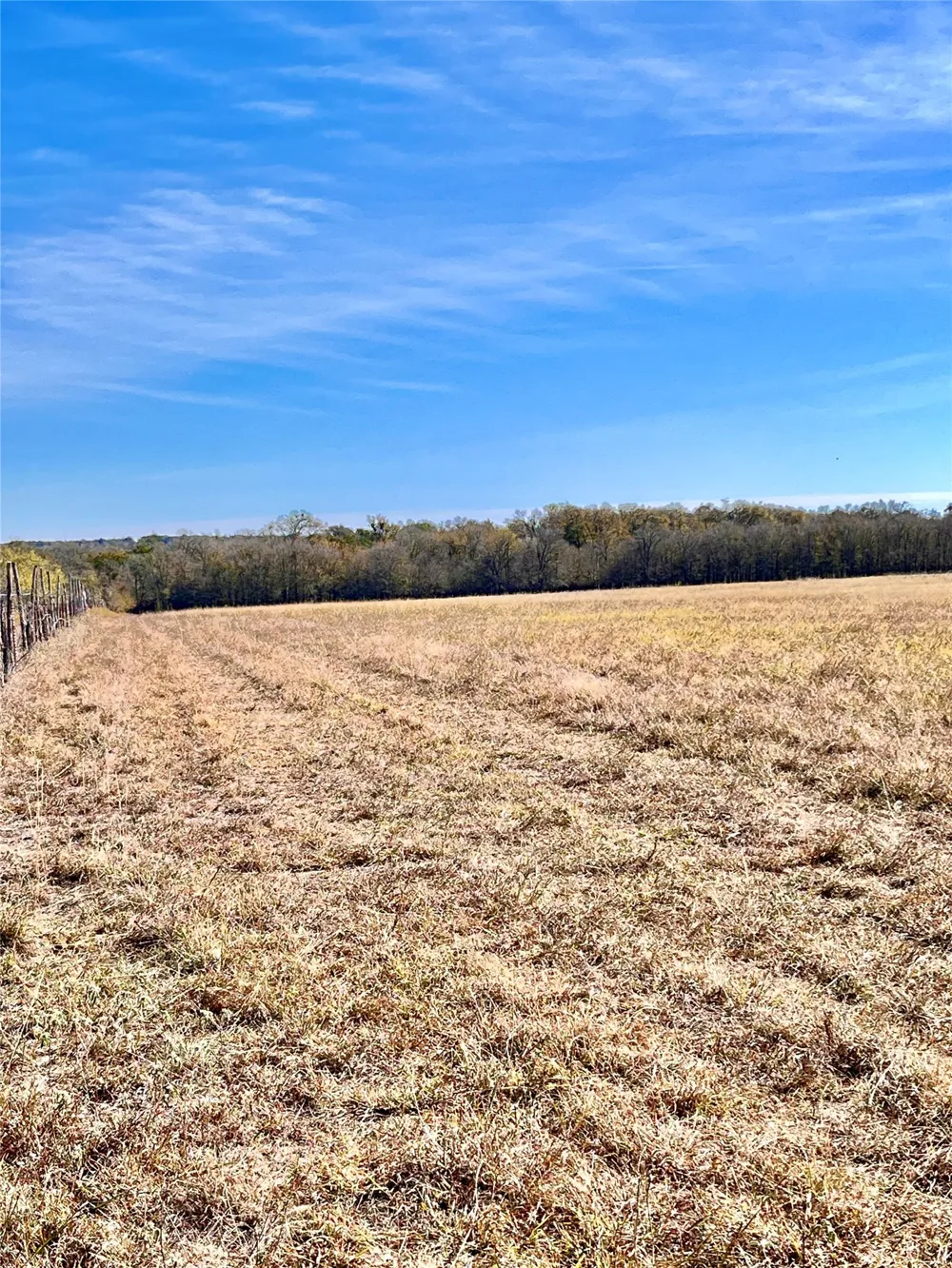 674 County Road 309 Rockdale, TX 76567