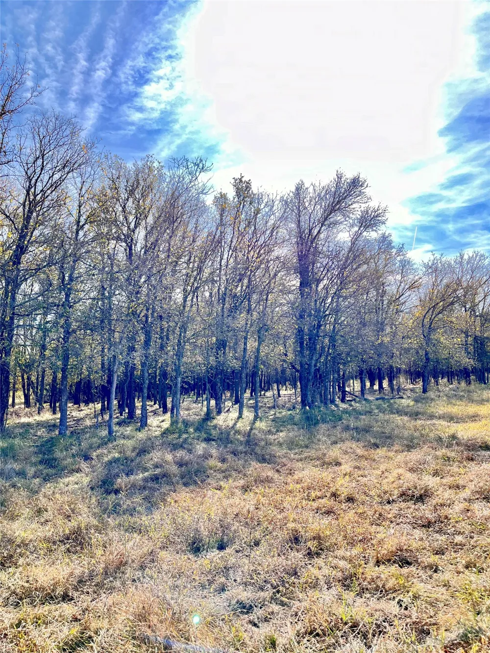 674 County Road 309 Rockdale, TX 76567