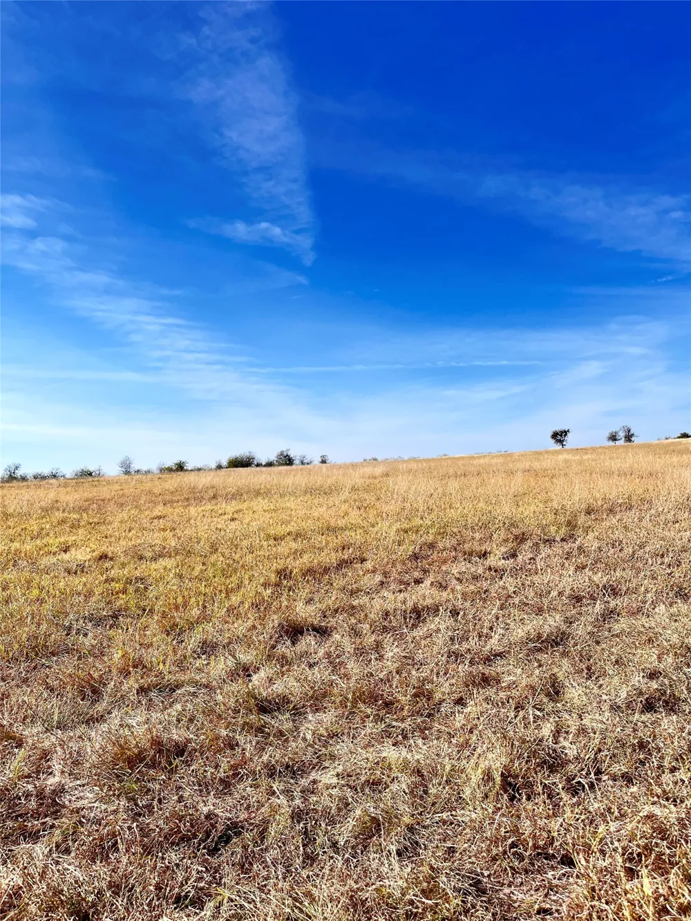 674 County Road 309 Rockdale, TX 76567