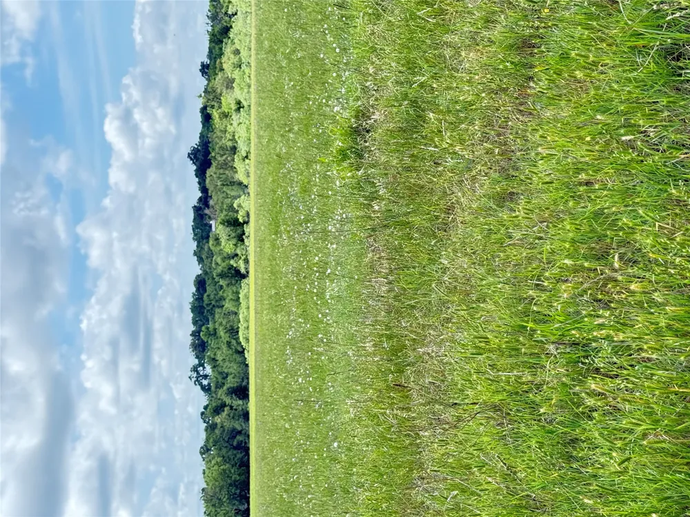 674 County Road 309 Rockdale, TX 76567
