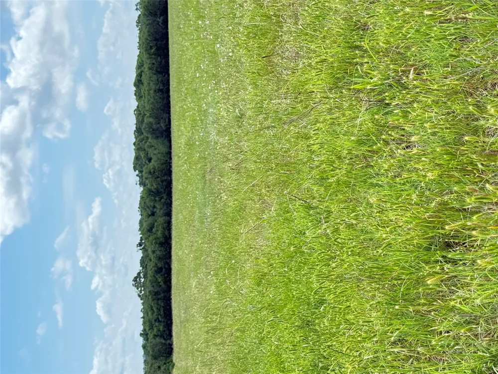 674 County Road 309 Rockdale, TX 76567