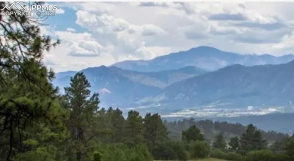 17147 Copper Valley Court Monument, CO 80132
