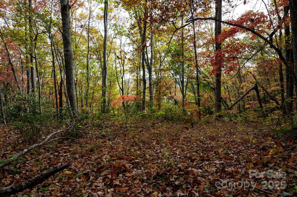 4B LOWER FLAT CREEK ROAD Black Mountain, NC 28711