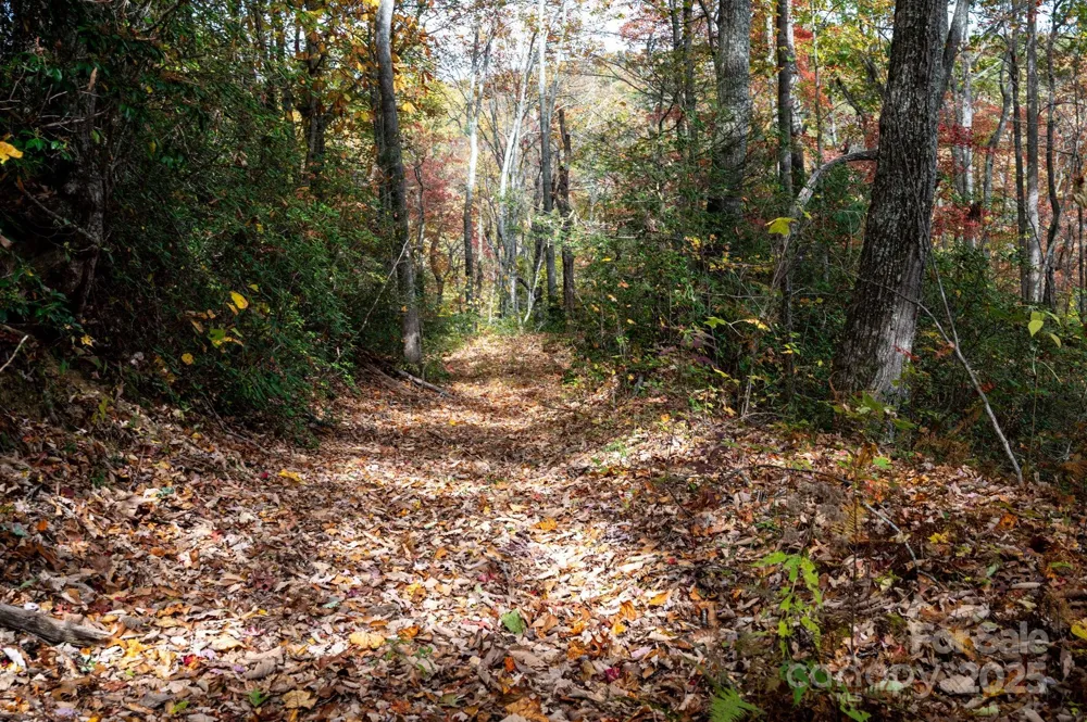 4B LOWER FLAT CREEK ROAD Black Mountain, NC 28711