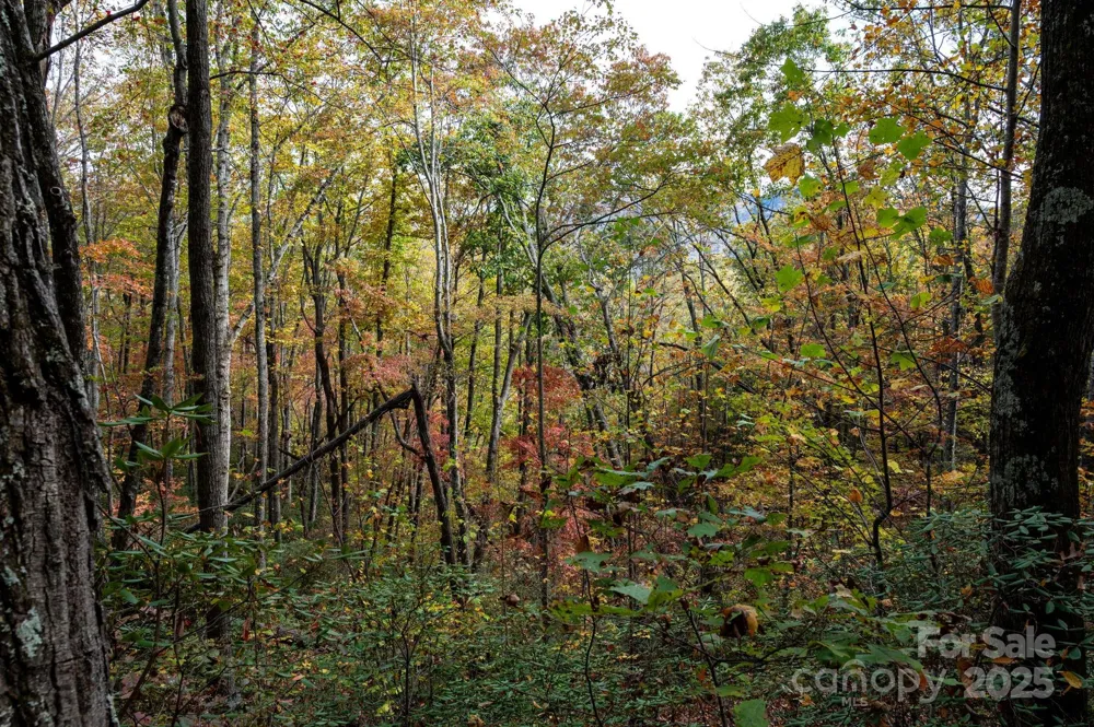 4B LOWER FLAT CREEK ROAD Black Mountain, NC 28711