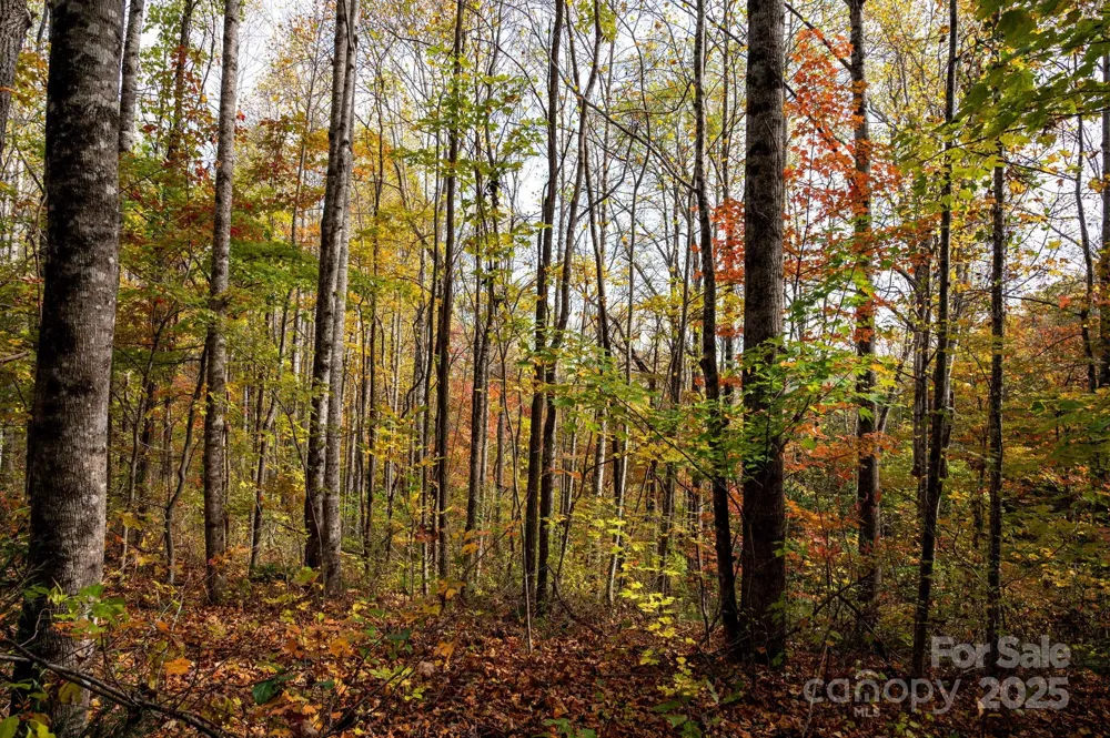 4B LOWER FLAT CREEK ROAD Black Mountain, NC 28711