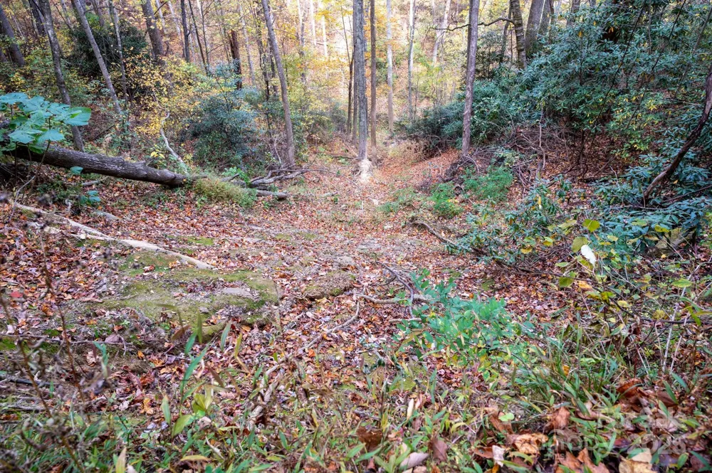 4B LOWER FLAT CREEK ROAD Black Mountain, NC 28711