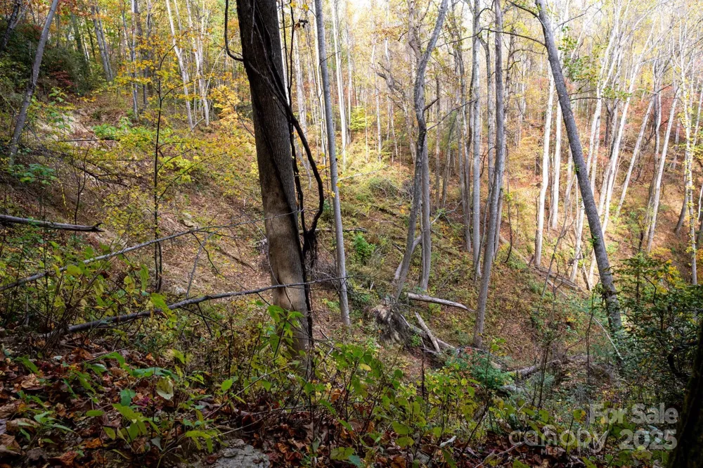 4B LOWER FLAT CREEK ROAD Black Mountain, NC 28711