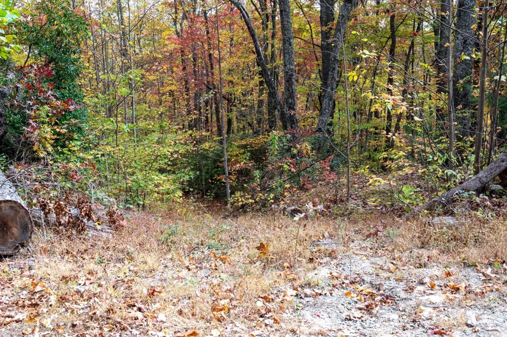 4B LOWER FLAT CREEK ROAD Black Mountain, NC 28711