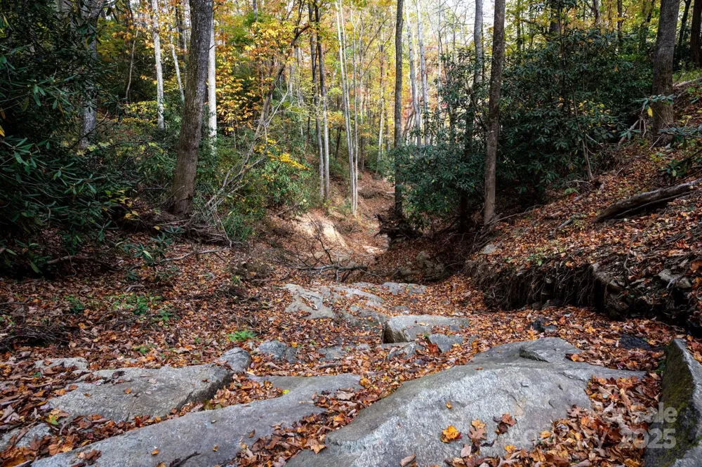 4B LOWER FLAT CREEK ROAD Black Mountain, NC 28711