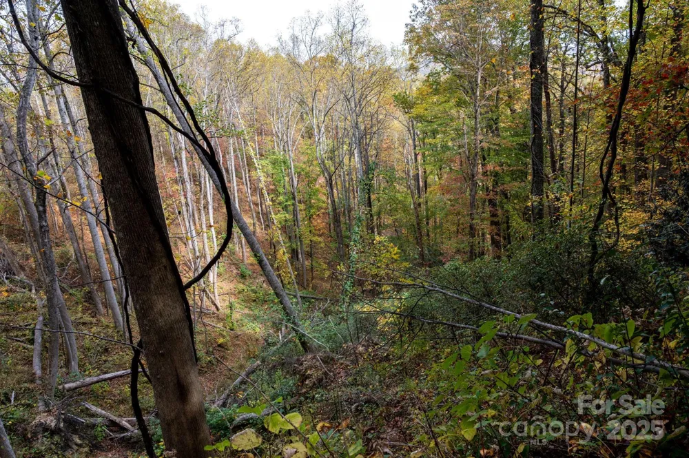 4B LOWER FLAT CREEK ROAD Black Mountain, NC 28711