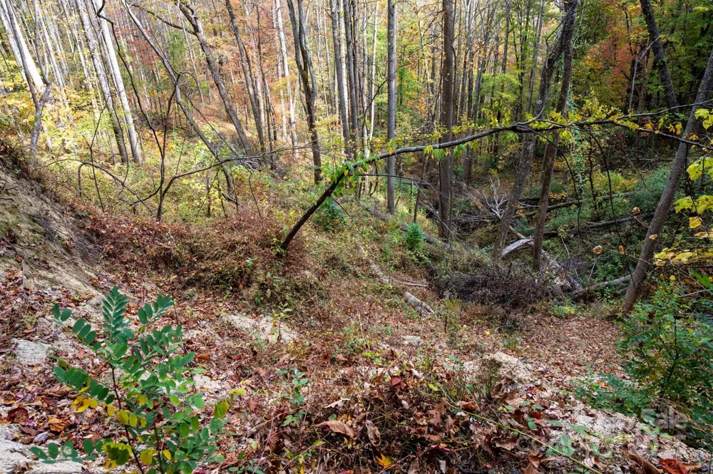 4B LOWER FLAT CREEK ROAD Black Mountain, NC 28711