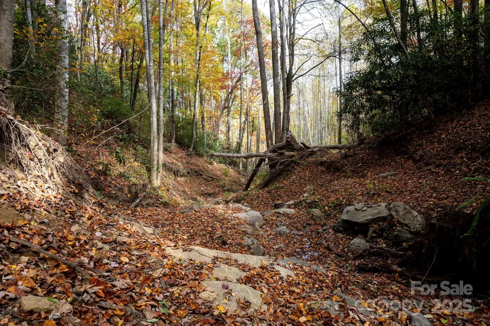 4B LOWER FLAT CREEK ROAD Black Mountain, NC 28711