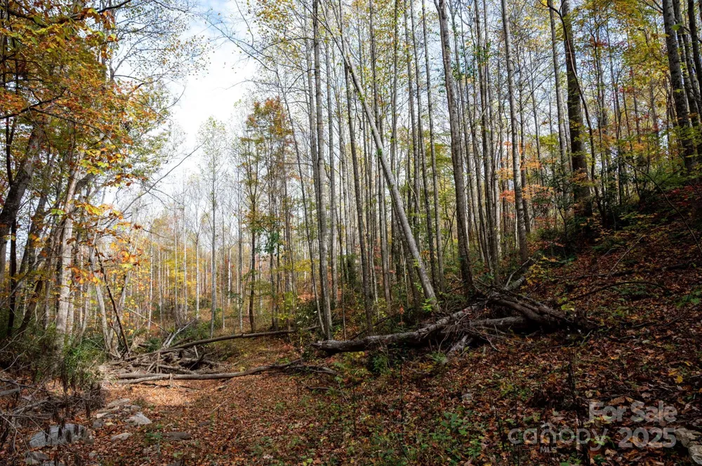 4B LOWER FLAT CREEK ROAD Black Mountain, NC 28711
