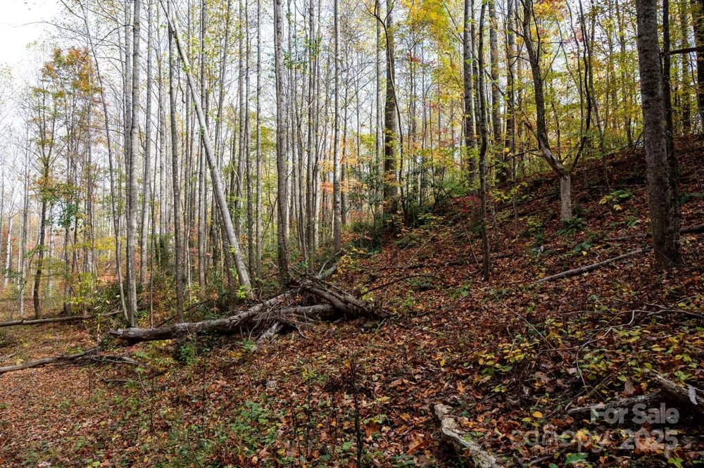 4B LOWER FLAT CREEK ROAD Black Mountain, NC 28711