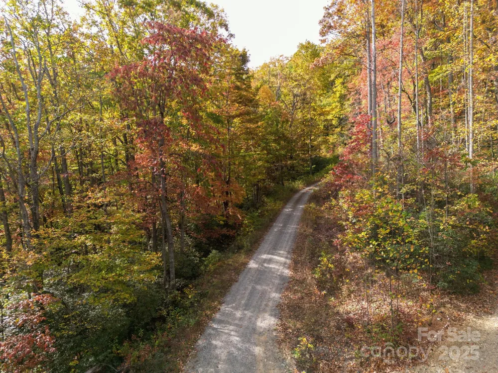 4B LOWER FLAT CREEK ROAD Black Mountain, NC 28711