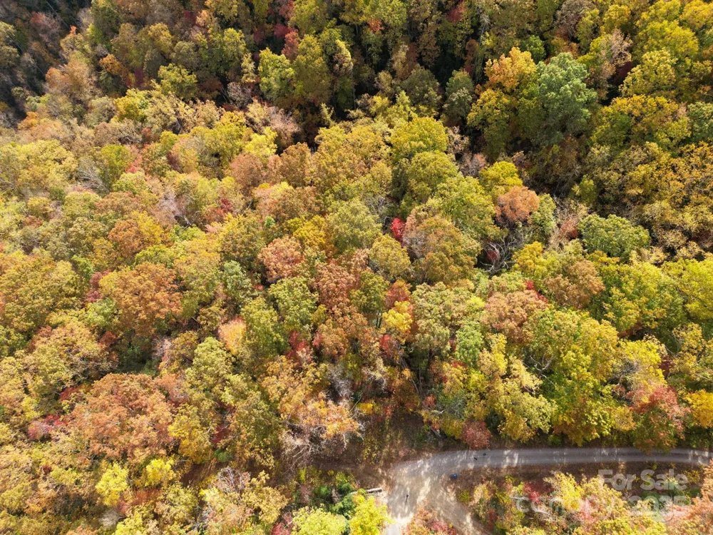 4B LOWER FLAT CREEK ROAD Black Mountain, NC 28711