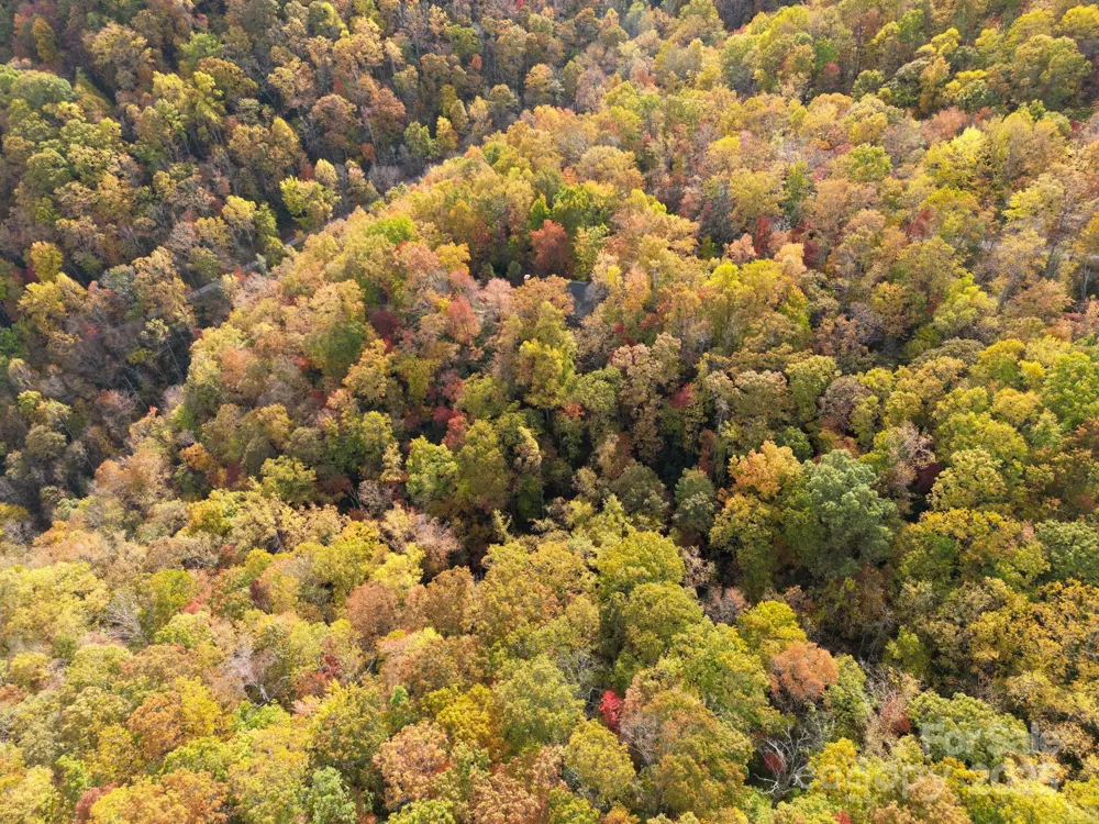4B LOWER FLAT CREEK ROAD Black Mountain, NC 28711