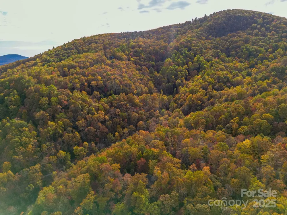 4B LOWER FLAT CREEK ROAD Black Mountain, NC 28711