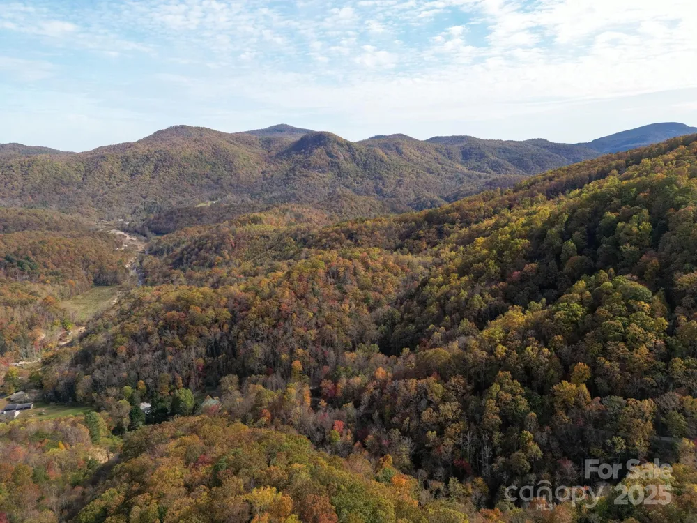 4B LOWER FLAT CREEK ROAD Black Mountain, NC 28711