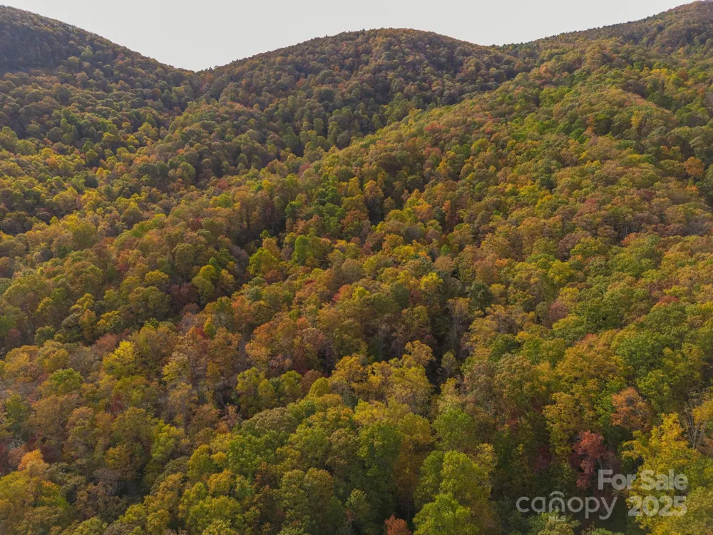 4B LOWER FLAT CREEK ROAD Black Mountain, NC 28711