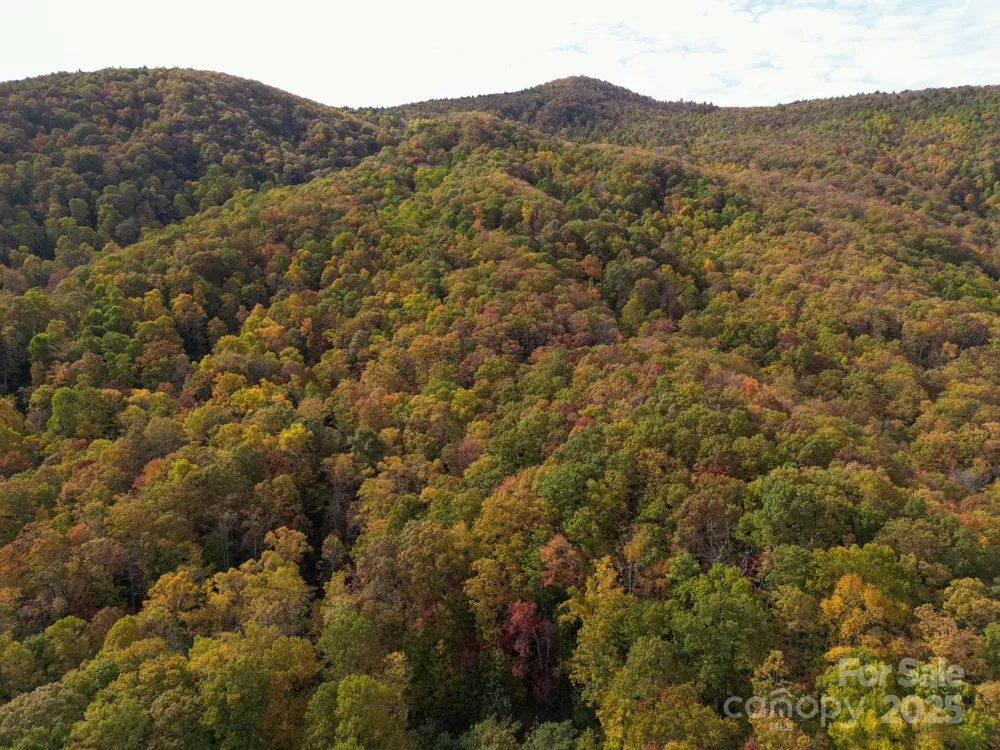 4B LOWER FLAT CREEK ROAD Black Mountain, NC 28711