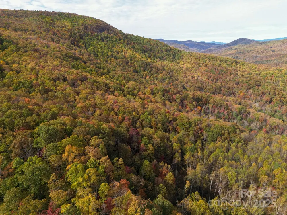 4B LOWER FLAT CREEK ROAD Black Mountain, NC 28711