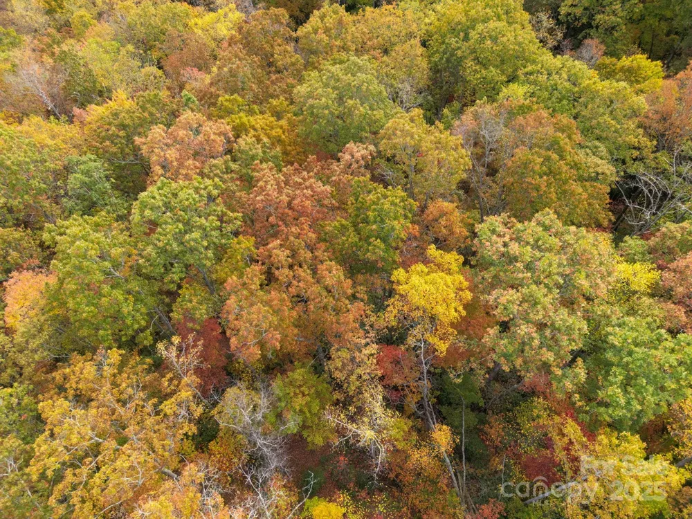 4B LOWER FLAT CREEK ROAD Black Mountain, NC 28711