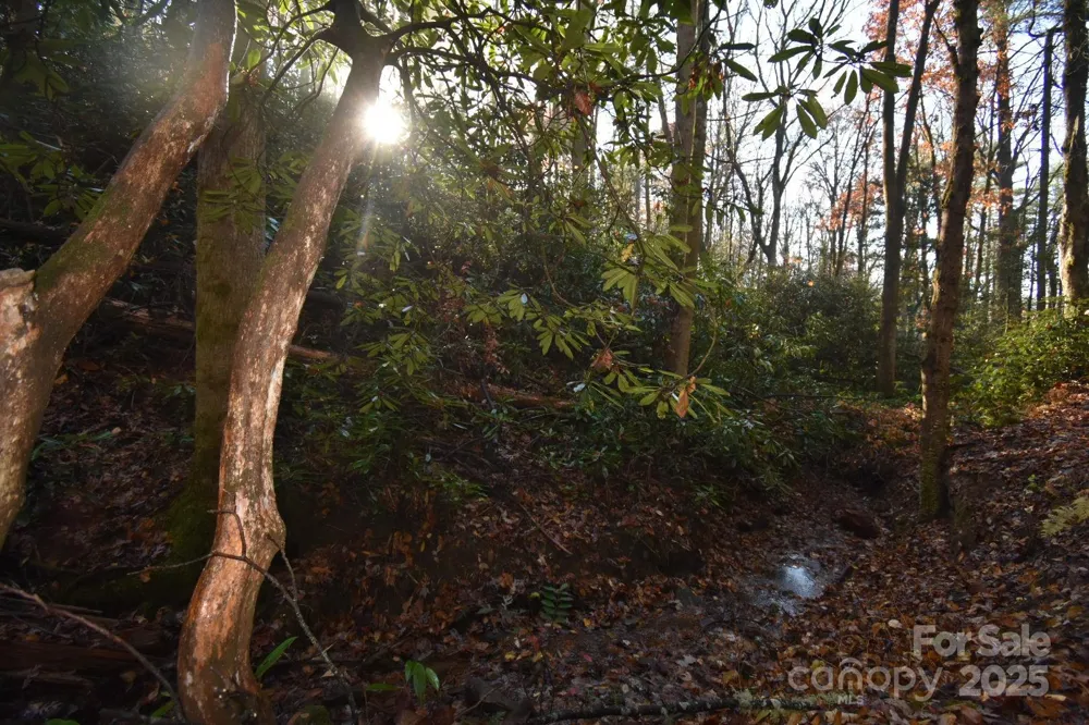 18748 Rosman Highway Sapphire, NC 28774