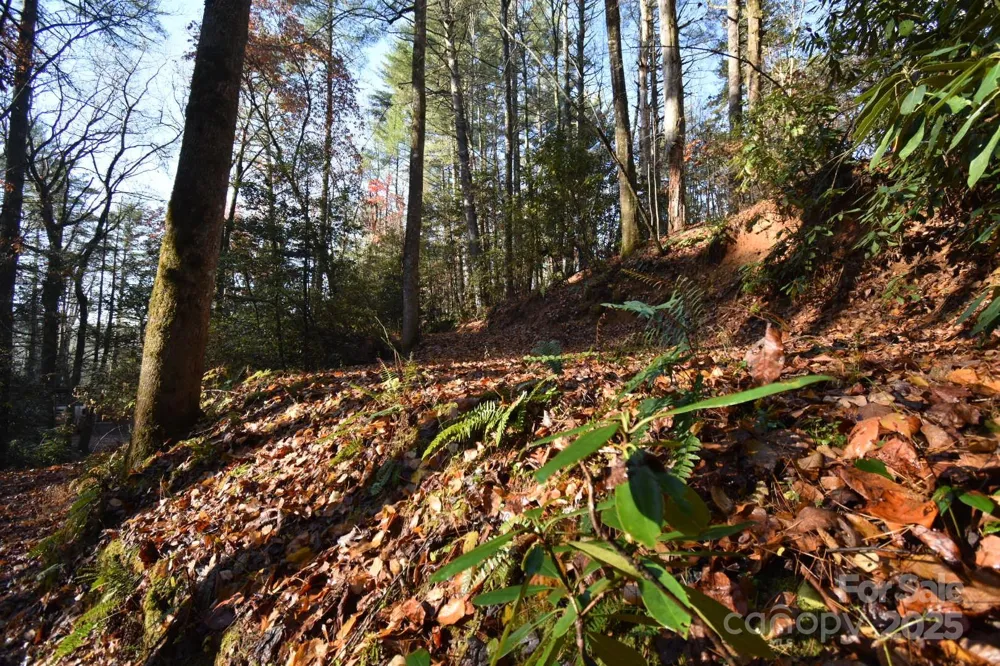 18748 Rosman Highway Sapphire, NC 28774