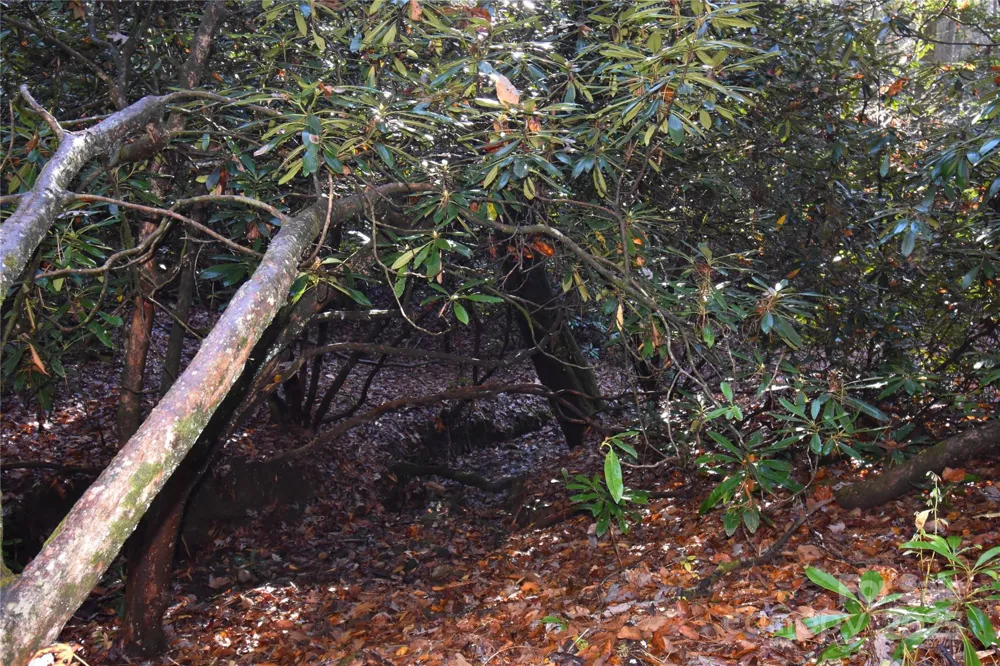 18748 Rosman Highway Sapphire, NC 28774