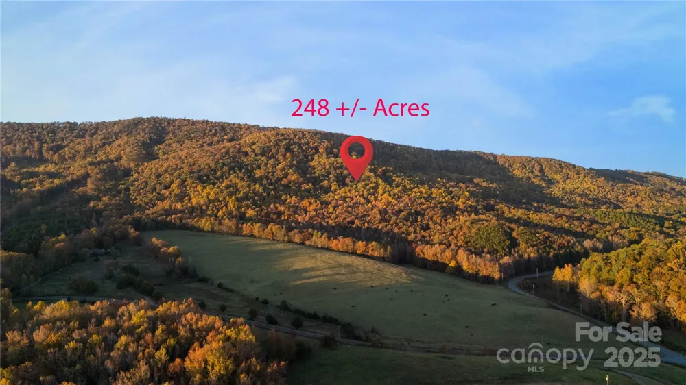 TBD Wards Gap Road Casar, NC 28020