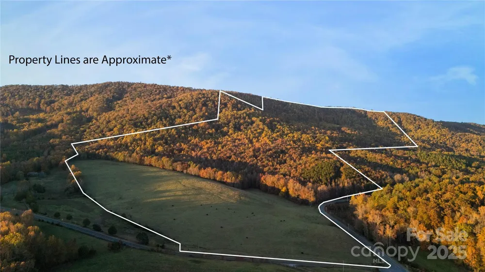 TBD Wards Gap Road Casar, NC 28020