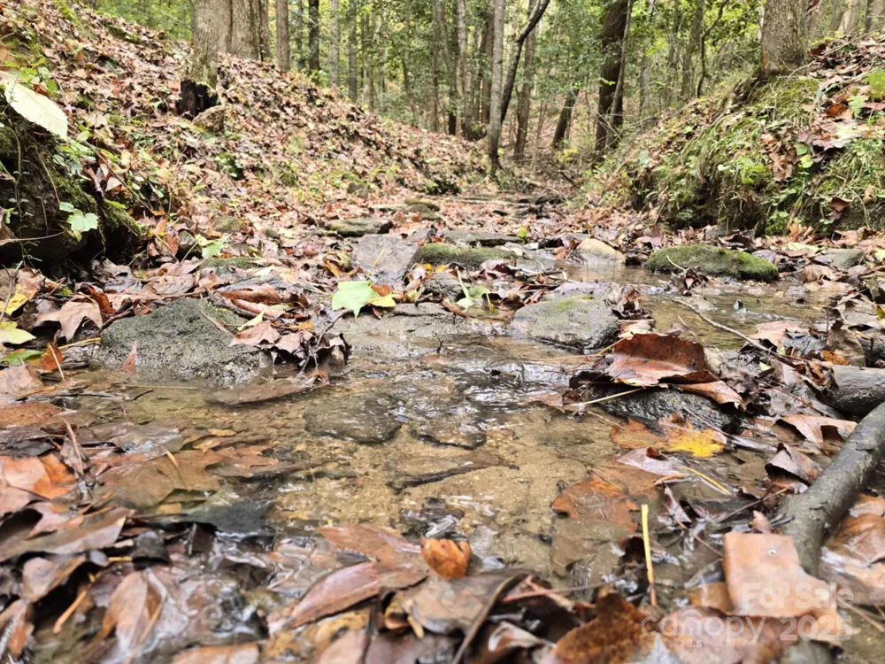 TBD Wards Gap Road Casar, NC 28020