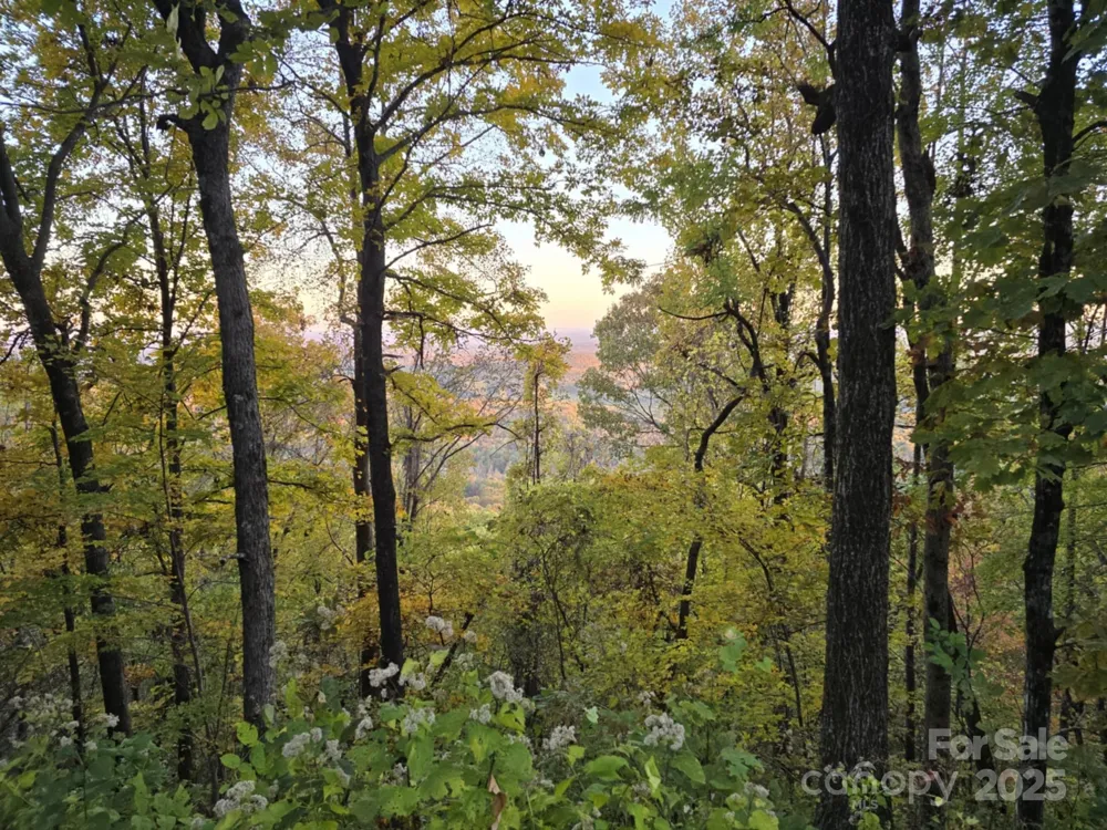 TBD Wards Gap Road Casar, NC 28020