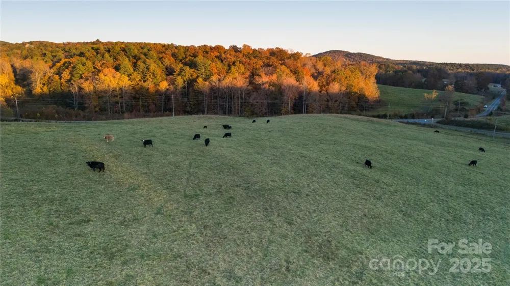 TBD Wards Gap Road Casar, NC 28020