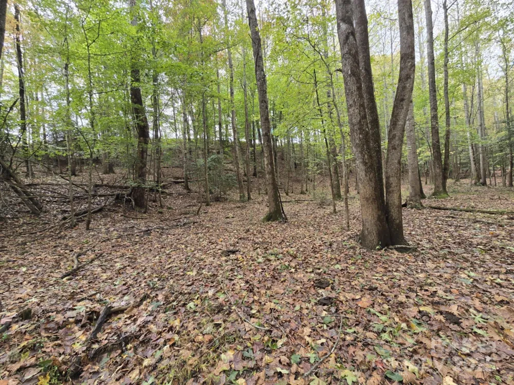 TBD Wards Gap Road Casar, NC 28020