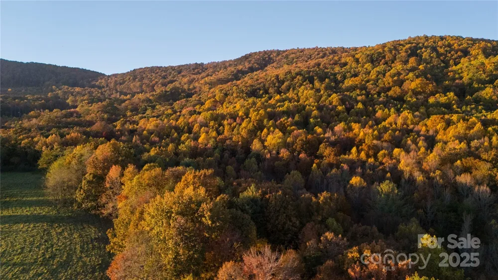 TBD Wards Gap Road Casar, NC 28020