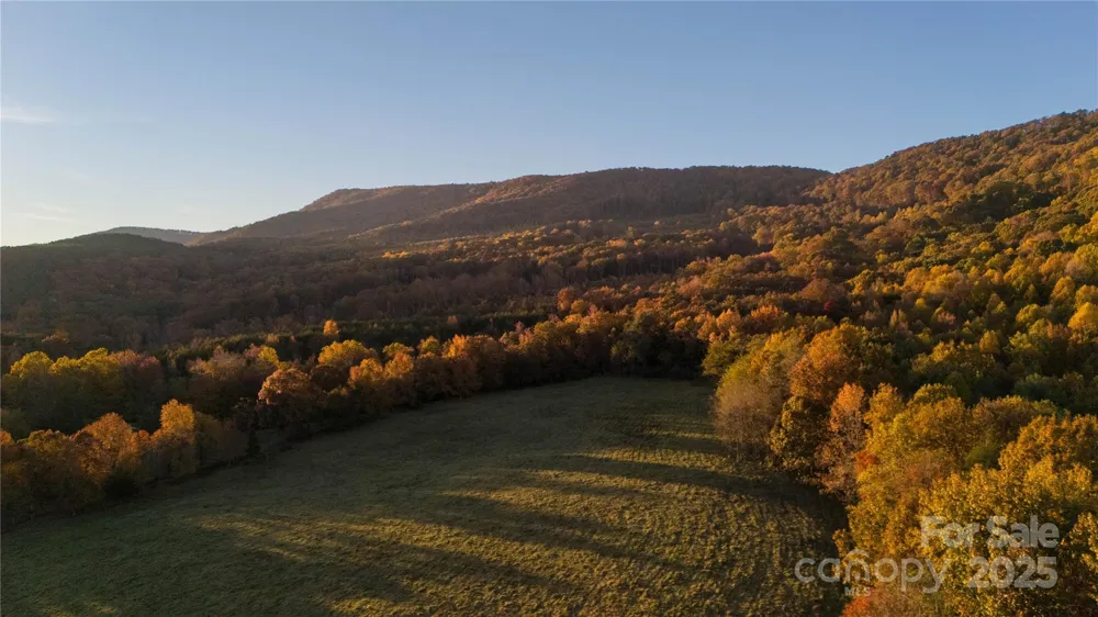 TBD Wards Gap Road Casar, NC 28020
