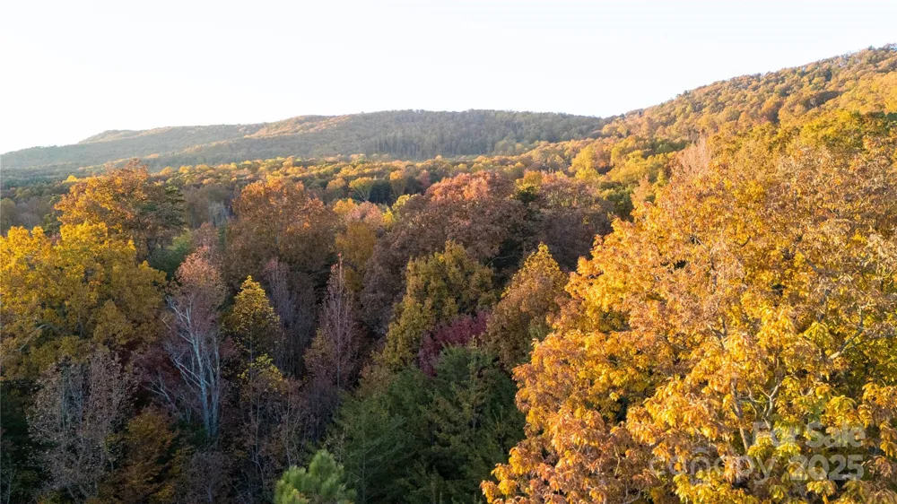 TBD Wards Gap Road Casar, NC 28020