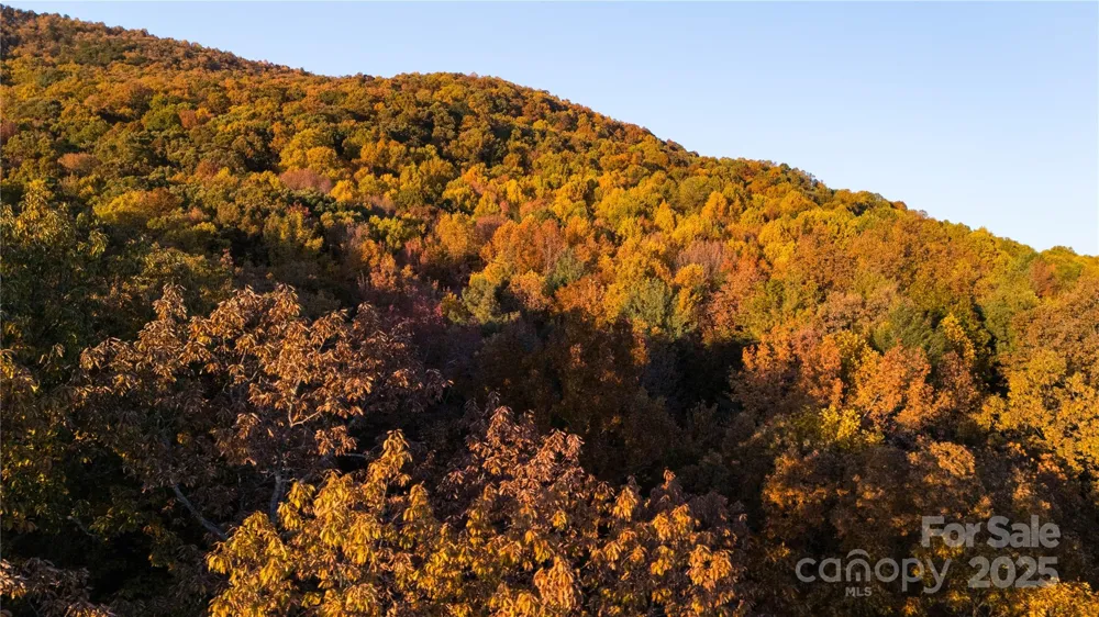TBD Wards Gap Road Casar, NC 28020