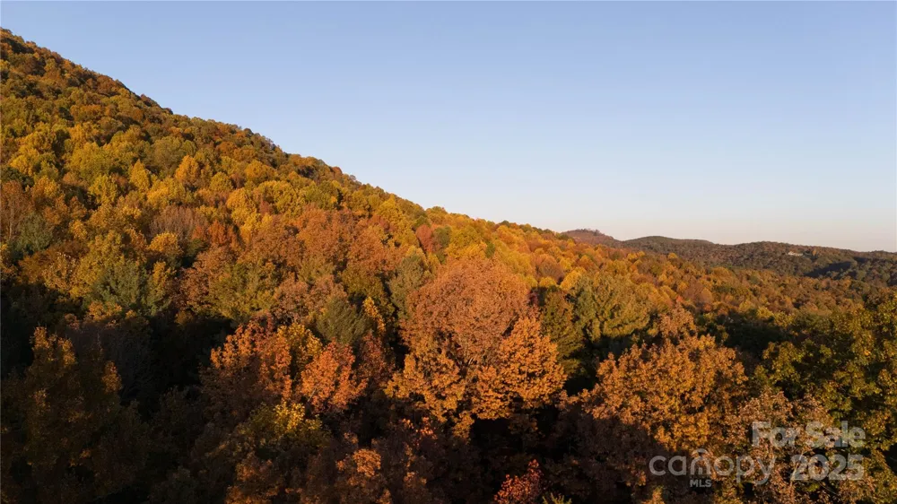TBD Wards Gap Road Casar, NC 28020